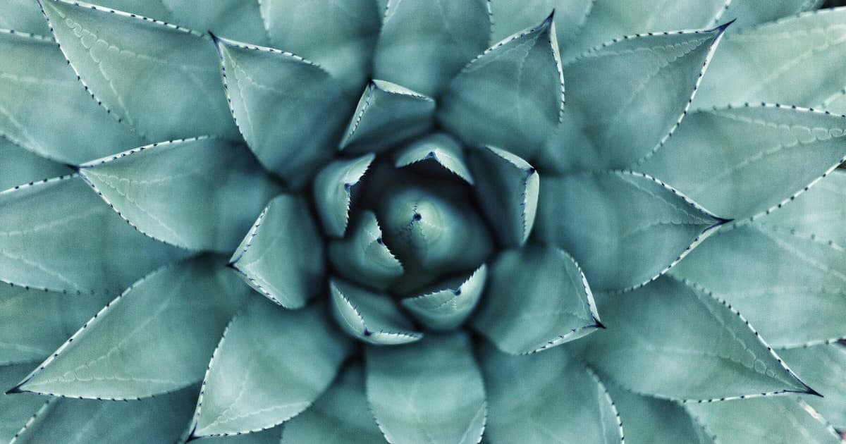 ArcticCollagen Expands Citrus-Flavored Collagen Supplements Nationwide, Emphasizing Taste in Consumer Adoption