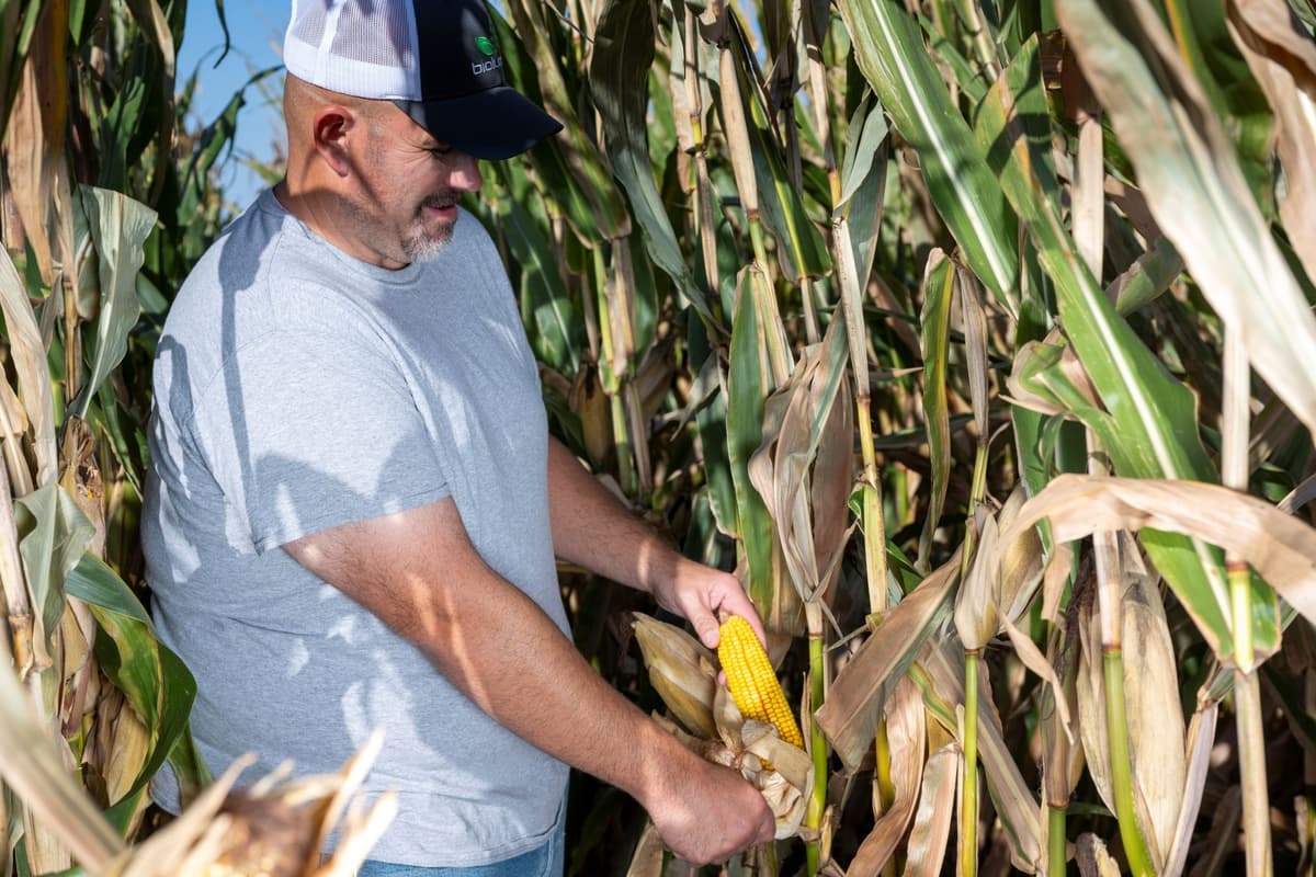 BioLumic Expands Light-Activated Corn Trait Program into South America Through Key Brazilian Partnerships