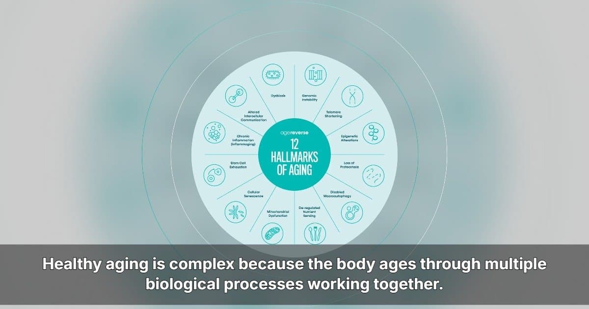 AgeReverse Expands to U.S. with Comprehensive Healthy Aging Approach