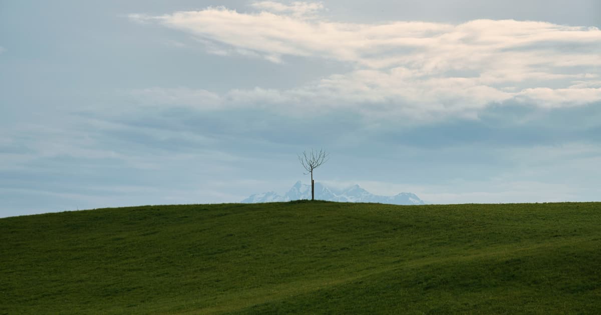 Virginia Organizations Expand Milk Dispenser Grant Funding to $155,000 for School Nutrition Programs